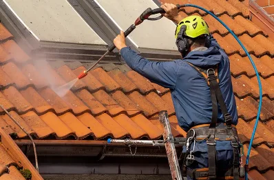 Démoussage et hydrofuge de toiture à Garin